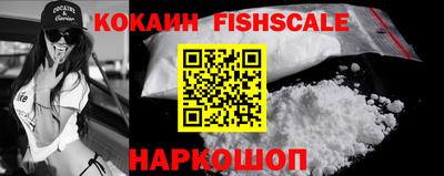 индика Моздок