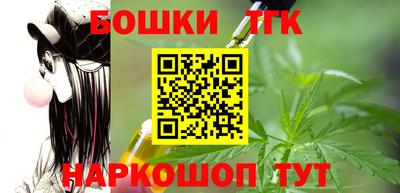 индика Моздок