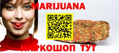 индика Моздок