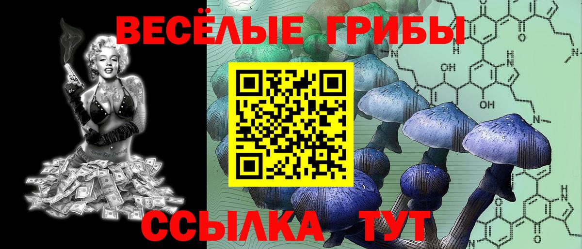 Псилоцибиновые грибы мухоморы Верхняя Пышма