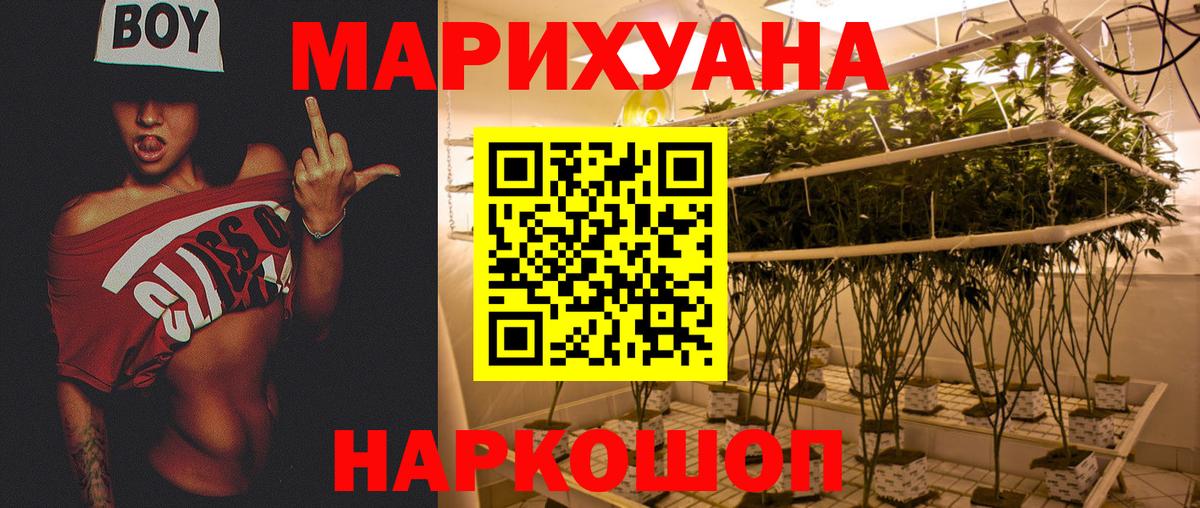 Шишки марихуана планчик Верхняя Пышма